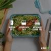 Ello Duraglass Mixed Meal Prep Sets Leak-Proof Glass Food Storage Containers with Silicone Sleeves and Airtight BPA-Free Lids, Dishwasher, Microwave, and Freezer Safe view 4