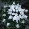 AWQ 100LED 81 FT C9 Christmas String Lights Plug in Fairy Twinkle String Lights 8 Modes Timer Function Waterproof Extendable for Indoor Outdoor Wedding Party Christmas Decoration (100, White) view 1