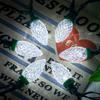 AWQ 100LED 81 FT C9 Christmas String Lights Plug in Fairy Twinkle String Lights 8 Modes Timer Function Waterproof Extendable for Indoor Outdoor Wedding Party Christmas Decoration (100, White) view 4