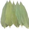 220 Sheets Zongye Large Zongye Wild Wild Bamboo Leaves Zongzi Material view 1