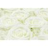 1 Pc, Silk Roses/Hydrangeas 16"X24" Flower Wall Backdrop Panel - Cream for Wedding Receptions, Bridal Showers, Baby Showers, Quinceaneras, Anniversary Parties view 4