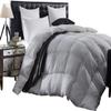 MEXIMART Silver All Season Down Alternetive Comforter- Twin Size 68 x 86 Inches 1-pc Duvet Incert, 1000-TC 750-GSM with Corner Tabs 100% Egyptian Cotton- Hypoallergenic - Silver Solid view 1