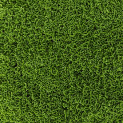 3rd Street Inn Greenery Panel - Artificial Hedge Wall - Fake Plant Wall Backdrop - Privacy Screen - Interlocking Panels - Indoor Outdoor Dcor (12, Moss)