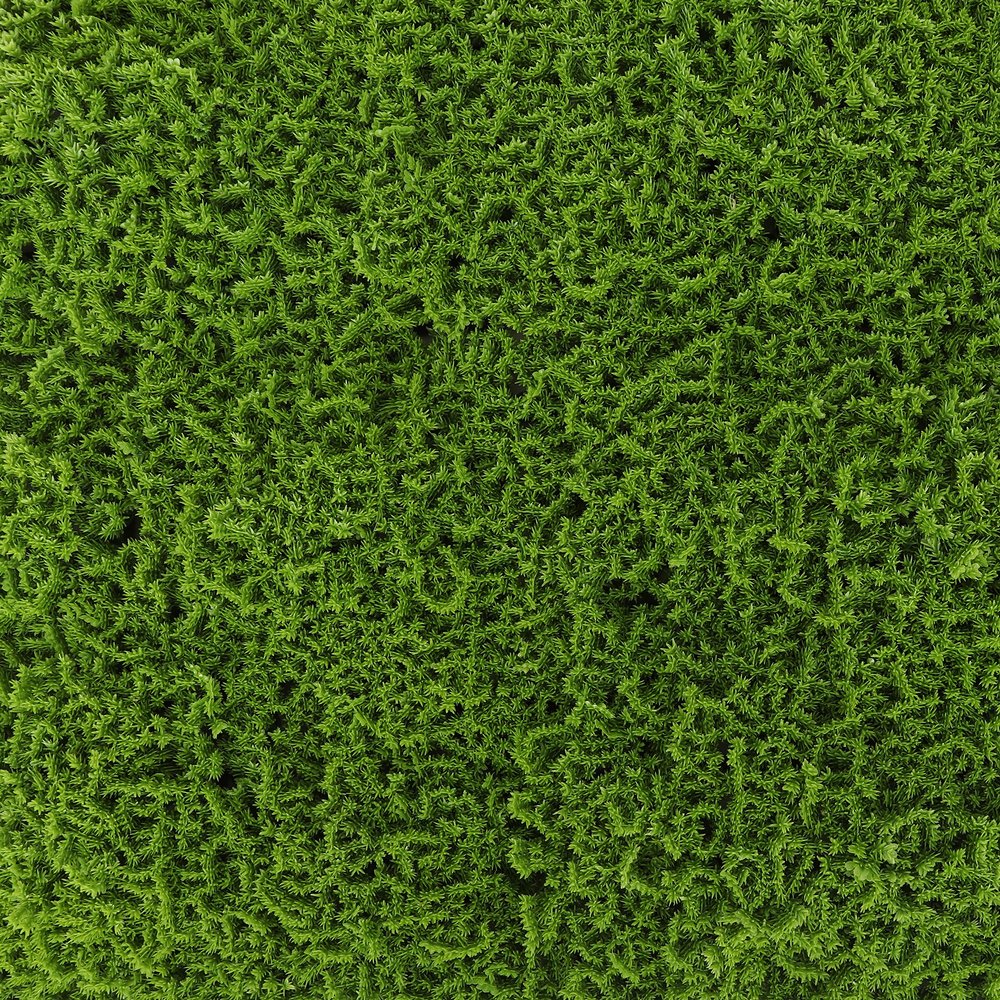3rd Street Inn Greenery Panel - Artificial Hedge Wall - Fake Plant Wall Backdrop - Privacy Screen - Interlocking Panels - Indoor Outdoor Dcor (12, Moss)