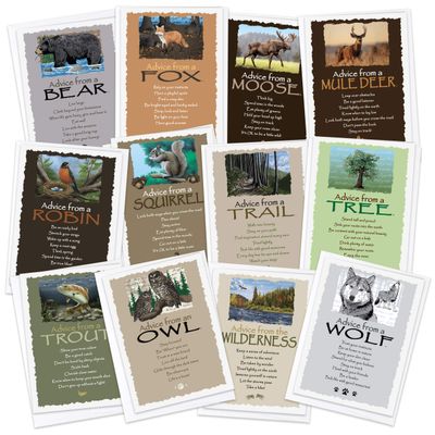Your True Nature 12 Forest/Woodland Greeting Card Set, Advice from the Wilderness, Moose, Bear, Fox, Squirrel, Robin, Mule Deer, Trail, Trout, Wolf, Owl, Tree (AMGC12-FOR)