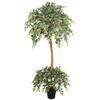 SilksAreForever 6' Natural Trunk Silk Ficus Tree w/Pot -Variegated view 1