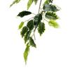 SilksAreForever 6' Natural Trunk Silk Ficus Tree w/Pot -Variegated view 2