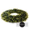 3rd Street Inn Golden oxwood Greens - Indoor/Outdoor Front Door Wreath - Farmhouse Spring/Summer/Winter Wreath (22' / XL) view 2