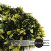 3rd Street Inn Golden oxwood Greens - Indoor/Outdoor Front Door Wreath - Farmhouse Spring/Summer/Winter Wreath (22' / XL) view 3