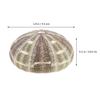 VOSAREA 2pcs Natural Dried Sea Shells for DIY Planting Pots Unique Decorative Containers for Home Office and Bedroom Decor view 2