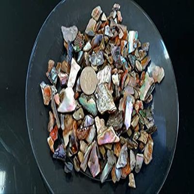 Natural Abalone Pieces 8 oz for Inlay, Rings, Bracelets, Weddings, Gifts, Vase Filler, Home Dcor, Art, Beach Theme Crafts
