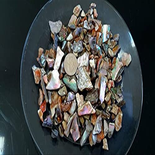 Natural Abalone Pieces 8 oz for Inlay, Rings, Bracelets, Weddings, Gifts, Vase Filler, Home Dcor, Art, Beach Theme Crafts
