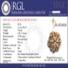 SHIVARATNA 6 Mukhi Rudraksha (Nepal) + 109 Beads of Five Mukhi Rudraksha Mala (Pure Silver Cap & Lab Certified) view 2