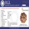 SHIVARATNA 7 Mukhi Rudraksha (Nepal) + 109 Beads of 5 Mukhi Rudraksha mala (Silver Cap & Lab Certified) view 2