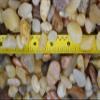 Around 2 Pounds of Decorative Stones Perfect for Aquariums, Vase Fillers, Table Scatter, Scrapbooking and Much More! Beautiful Gems! (Assorted Natural River Rocks) view 4