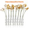 Cabilock Transparent Hydroponic Tube Vase with 8 Test Tubes and S Shape Hooks Glass Flower Arranging Container for Home and Garden D Cor 6 Inch Borosilicate Glass view 4