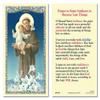 Christian Brands HCL 25P St Anthony Lost Things view 1