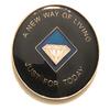 17 Year NA Blue and Gold Diamond Style Recovery, Clean, Medallion - Chip, Coin, Token view 2