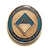 14 Year NA Blue and Gold Diamond Style Recovery, Clean, Medallion - Chip, Coin, Token view 1