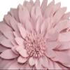 3D Daisy Flower Decorative Pillow - Sunflower Throw for Couch & Bed - Shaped Cushion (14.5" Flower, 13" With Insert, Light Pink) view 2
