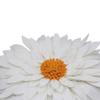 3D Daisy Flower Decorative Pillow - Sunflower Throw for Couch & Bed - Shaped Cushion (14.5" Flower, 13" With Insert, Ivory/Gold) view 3