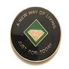 23 Year NA Black and Green Diamond Style Recovery, Clean, Medallion - Chip, Coin, Token view 2