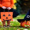 Boao 24 Pieces Halloween Lantern Pumpkin Tote Bags Non Woven Candy Bags for Halloween Party(12 x 12 Inch) view 2