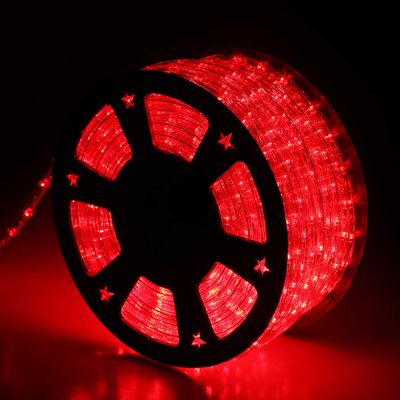Buyagn 100Ft LED Rope Lights, LED Strip Lights Outdoor Waterproof Decorative Lighting for Indoor/Outdoor, Eaves, Backyards Garden, Halloween and Christmas Decorations(Red)