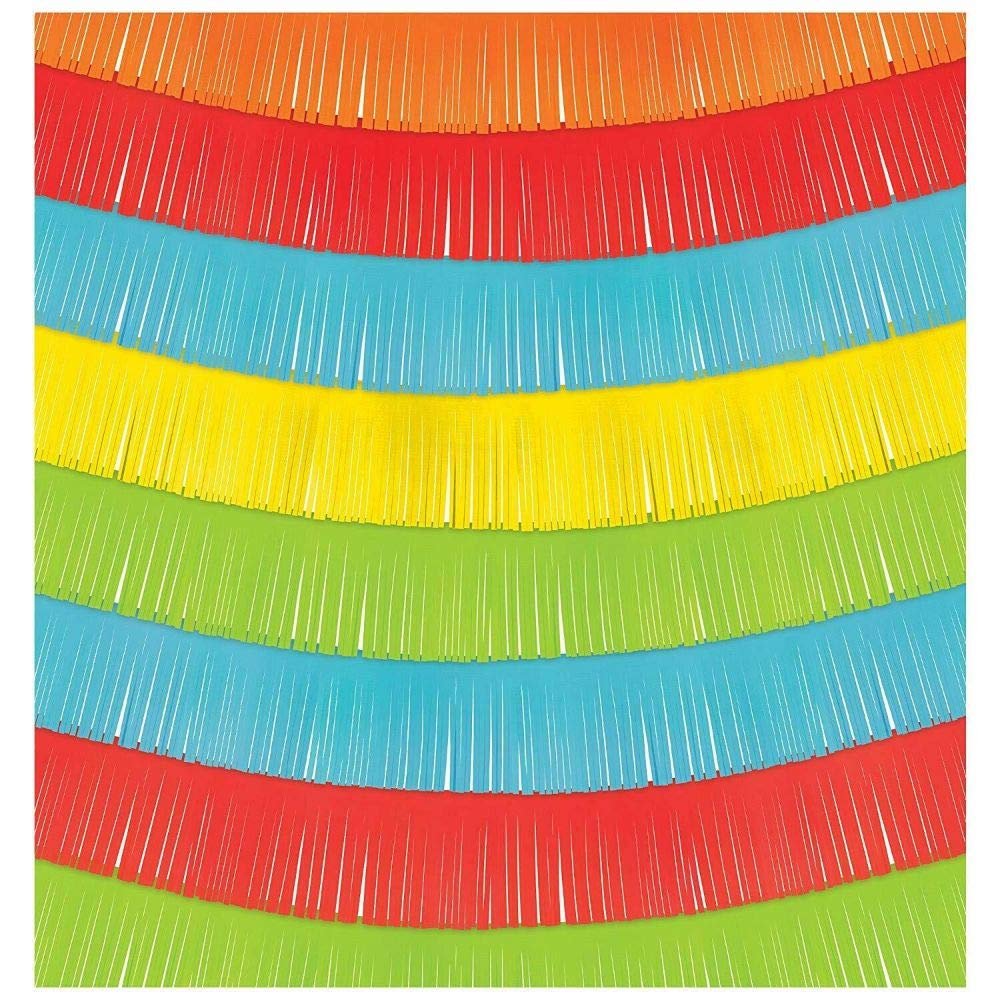 Fiesta TIME Fringe Backdrop Party Decorations Rainbow Room Photo Scene Setter