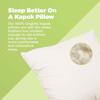 Bean Products Euro Size Premium Kapok Pillow - Breathable, Eco-Friendly and Durable Organic Cotton Fabric Neck Pillow - Soft and Supportive for Neck Support and Comfort - Made in The USA, 20" x 54" view 2