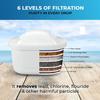 Pitcher of Life Alkaline Water Filter System + 119 Alkaline Beverages Recipe Book | pH 8.5-9.5 | Removes 99% Lead Chlorine | Adds Minerals | 2-Month Filters | NSF Certified view 3