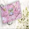 COMMEMORATIVE CREMATION URNS Cherry Blossom Photo Funeral Guest Book for Memorial Service and Celebration of Life Guest Book for Memorial Service - Beautiful & Vibrant Sign in Book for Funeral view 2