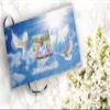 Holy Dove Photo Funeral Guest Book for Memorial Service and Celebration of Life Guest Book for Memorial Service - Beautiful & Vibrant Sign in Book for Funeral view 2