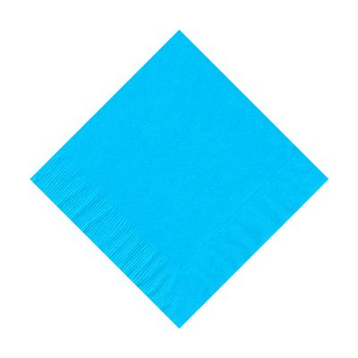 100 Personalized 2 Ply Wedding Cocktail/Beverage Napkins (Bermuda Blue)
