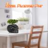 Dashamce Skull Planter Dish Large Flower Pot Container Box Halloween Skull Candy Bowl Desk Decoration view 2