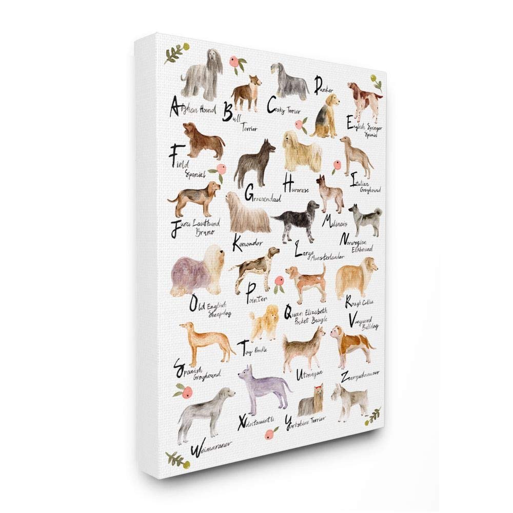 Stupell Industries Chic Alphabet of Dogs with Floral Detail