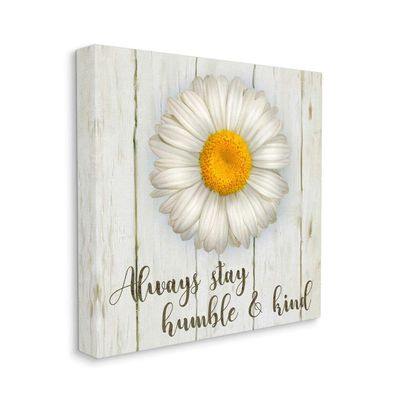 Stupell Industries Always Stay Humble and Kind Phrase with Daisy Wall Art, 30 x 30, Off-White