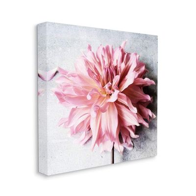 Stupell Industries Pink Spring Floral with Curly Petal Details Wall Art, 30 x 30, Off- White