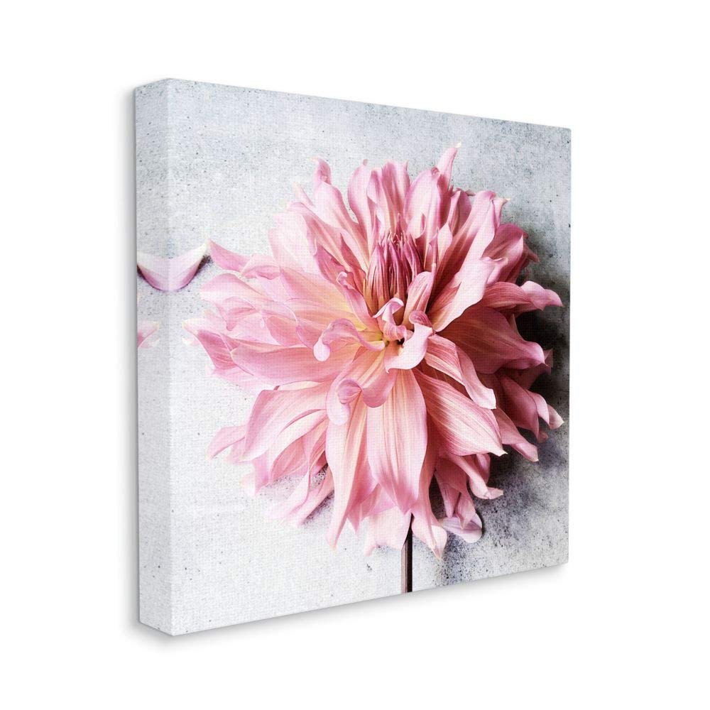 Stupell Industries Pink Spring Floral with Curly Petal Details Wall Art, 30 x 30, Off- White
