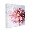 Stupell Industries Pink Spring Floral with Curly Petal Details Wall Art, 30 x 30, Off- White view 1