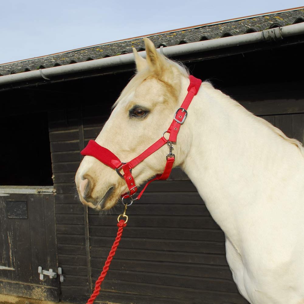 Rhinegold Unisex's 350-F-RED Comfort Headcollar and Rope Set, Red, Full