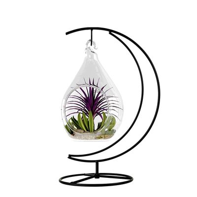 CXLE Ornament Display Stand - Iron Pothook Stand for Hanging Glass Globe, Air Plant Terrarium, Witch Ball, Christmas Ornament and Home Wedding Decoration