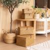 4 Pack, Wicker Baskets with Lids, Nautral Seagrass Storage Baskets, Woven Rectangular Basket Bins, Rattan Storage Organizer for Shelf view 2