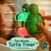 Kids Toothbrush Timer Light Up 30 Sec Turtle Flippers 2 Min Game view 3