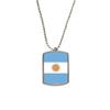DIYthinker Argentina National Flag South America Country Stainless Steel Chain Dog Tag Pendant Pet Necklace view 1