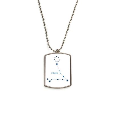 DIYthinker Pisces Constellation Sign Zodiac Stainless Steel Chain Dog Tag Pendant Pet Necklace