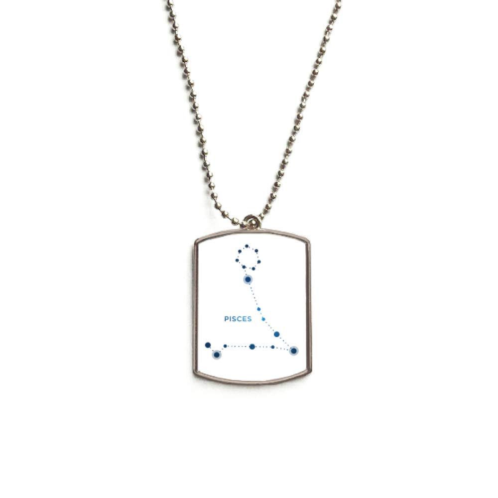 DIYthinker Pisces Constellation Sign Zodiac Stainless Steel Chain Dog Tag Pendant Pet Necklace