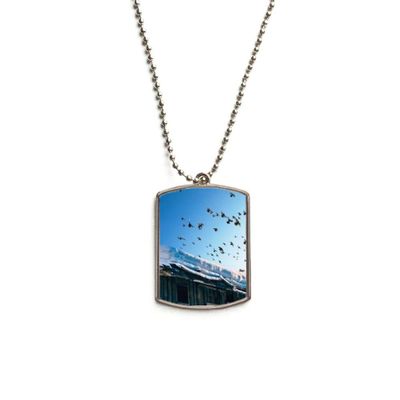 Birds House White Snow Sky Stainless Steel Chain Dog Tag Pendant Pet Necklace