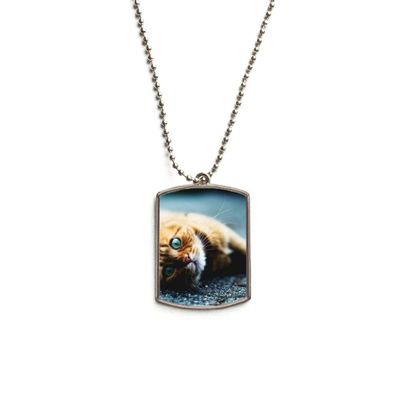 DIYthinker Animal Pure Blue Eye Cat Photograph Stainless Steel Chain Dog Tag Pendant Pet Necklace