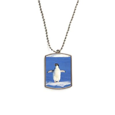 DIYthinker Cute White Penguin Science Nature Picture Stainless Steel Chain Dog Tag Pendant Pet Necklace